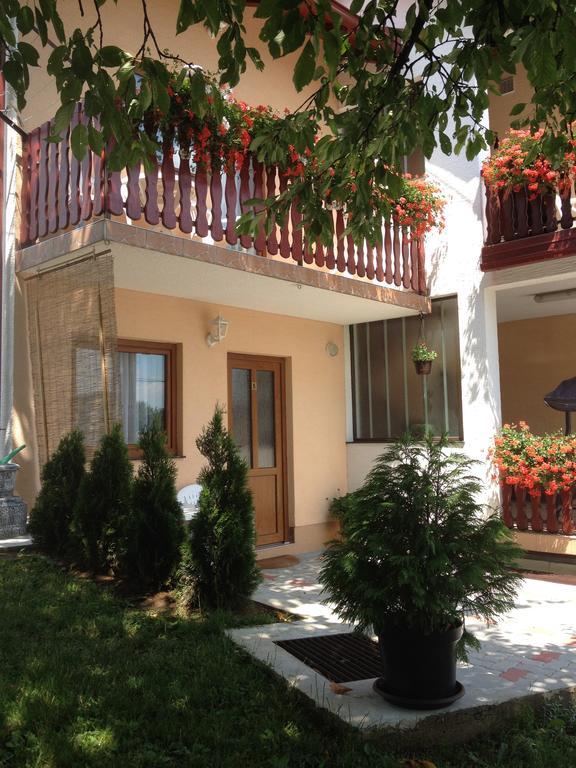 Guesthouse Ante Hodak Selište Drežničko Zewnętrze zdjęcie