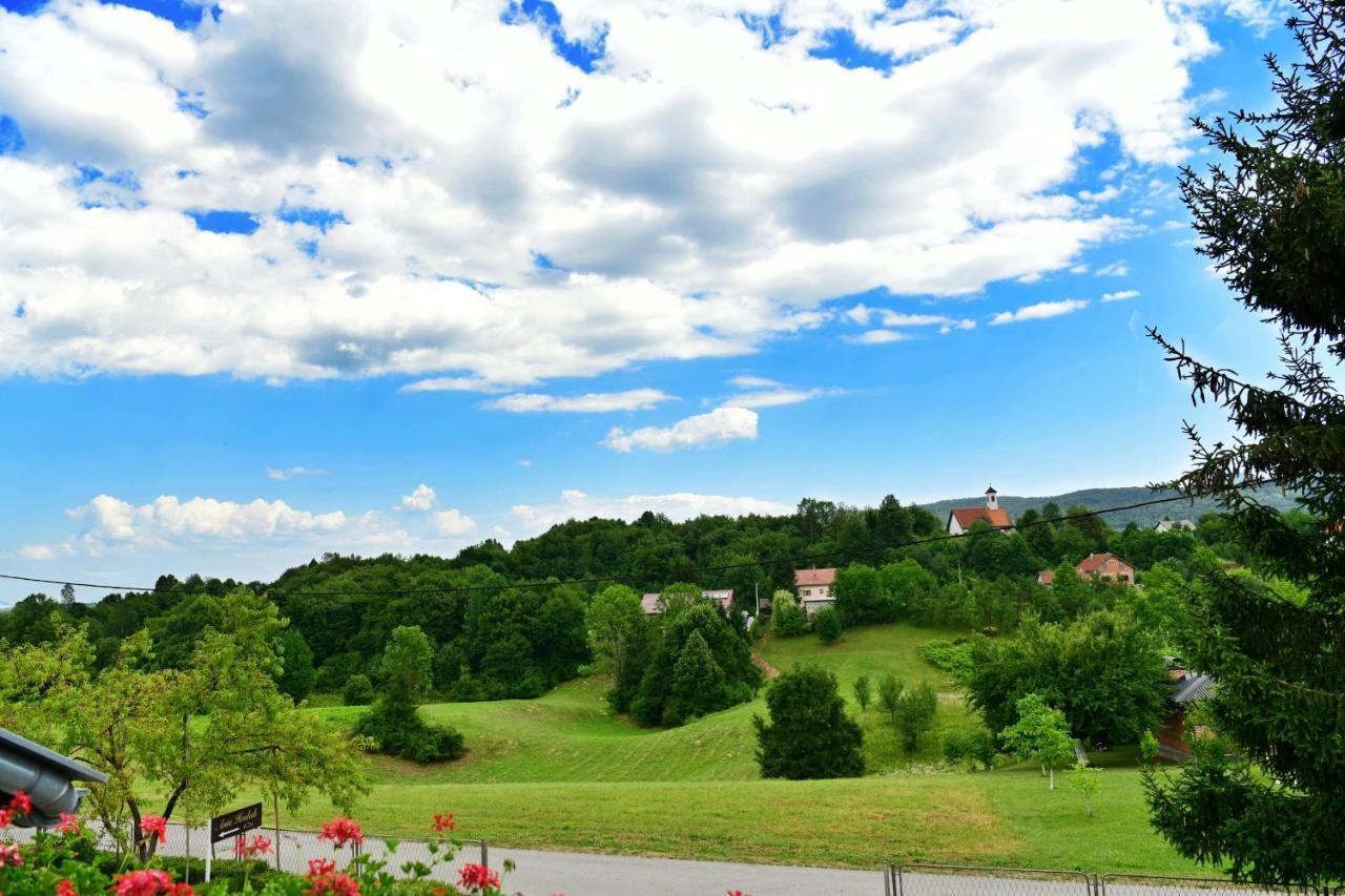 Guesthouse Ante Hodak Selište Drežničko Zewnętrze zdjęcie